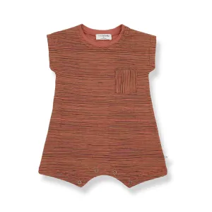 1 in the family Eric Roibos Stripped Tank Romper