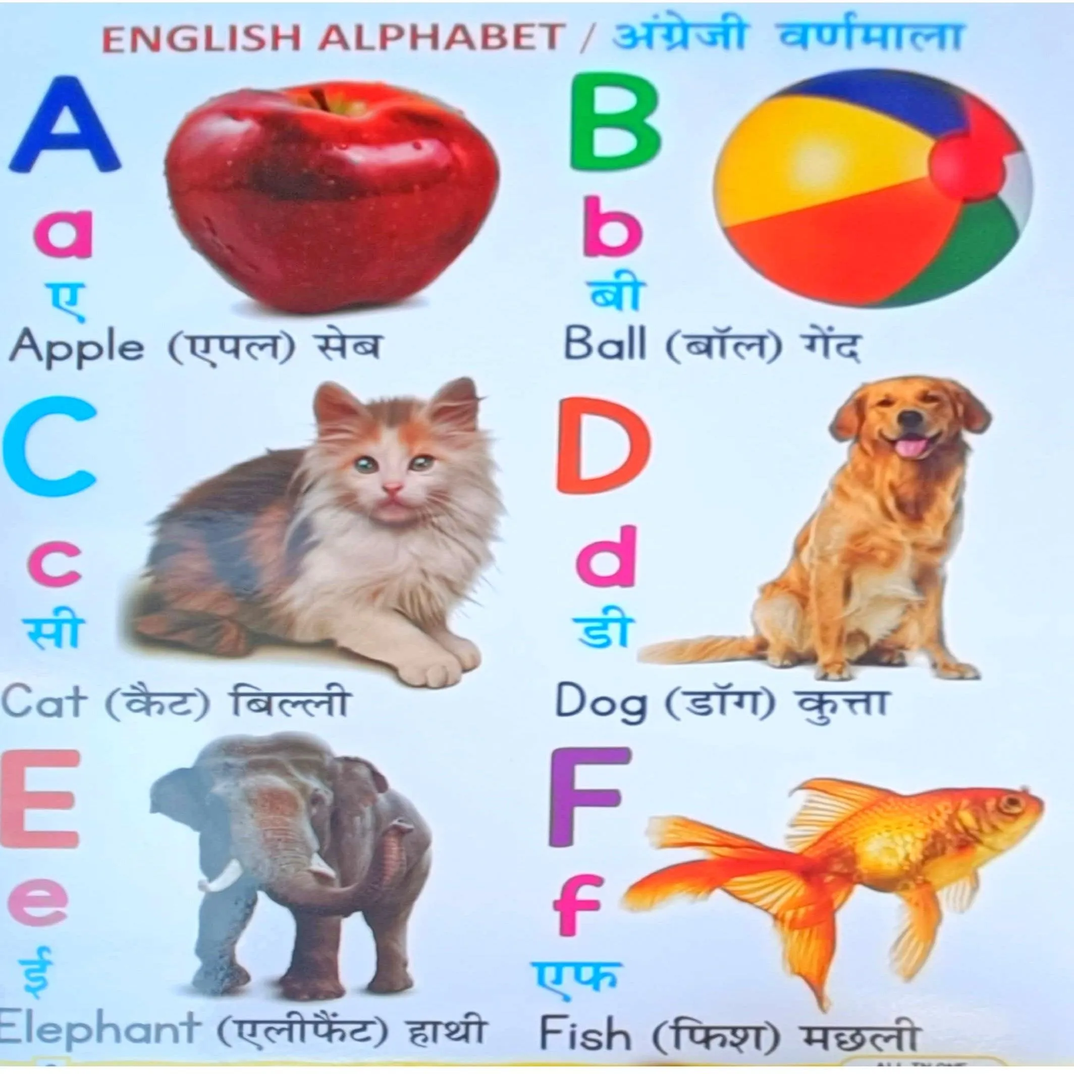 All In One English-Hindi Picture Books for 3-5yrs Kids