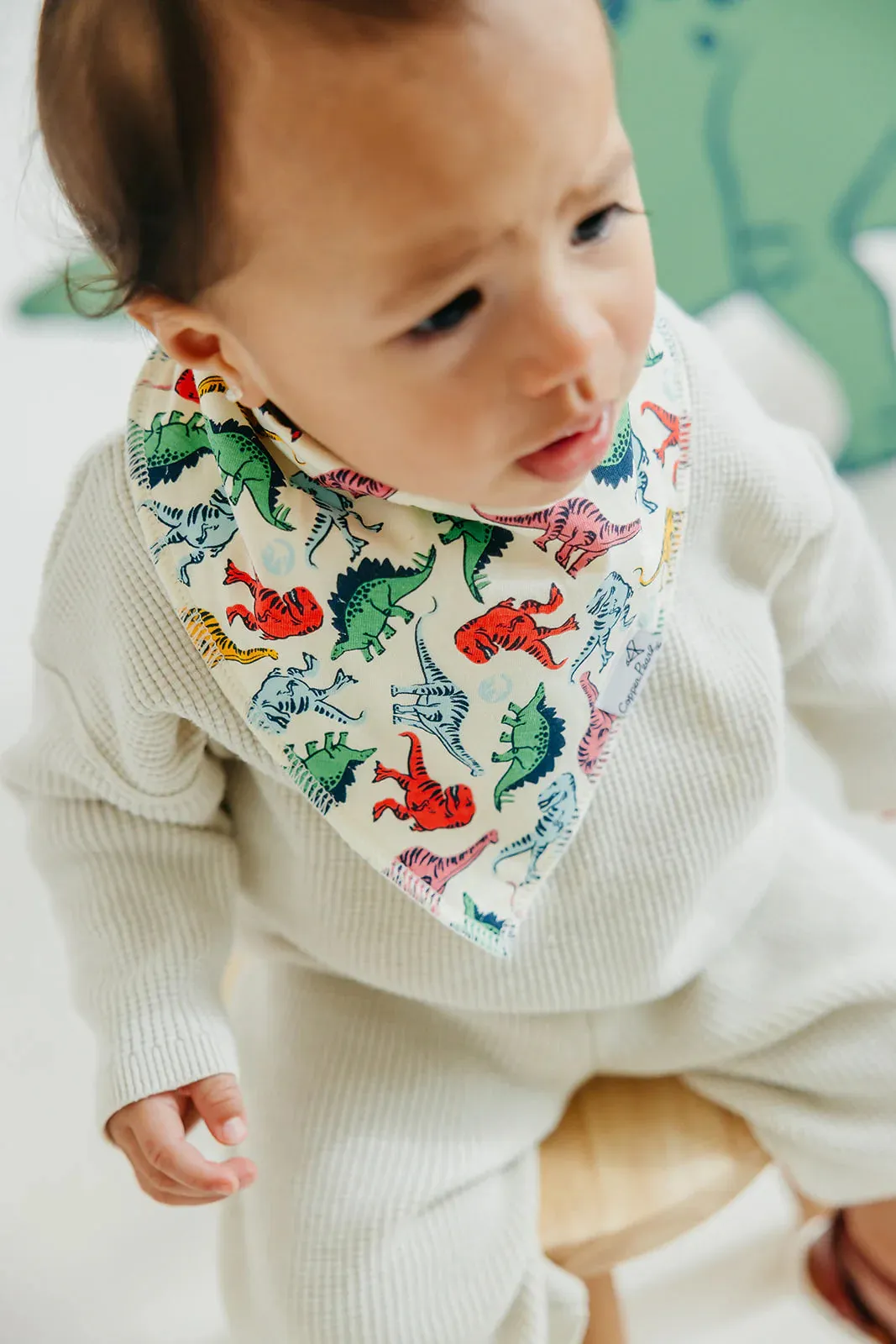 Baby Bandana Bibs - Jurassic Park