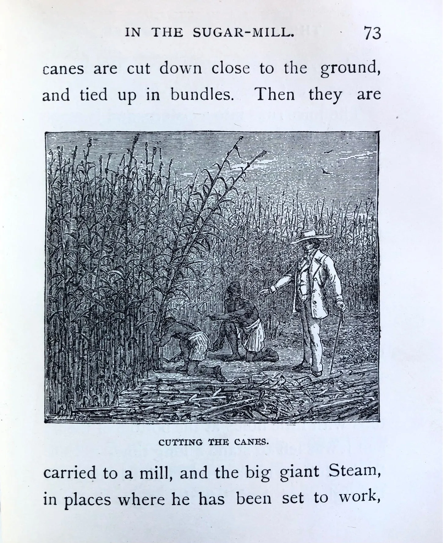 (Children's) Kirby, Mary & Elizabeth. Aunt Martha's Corner Cupboard: Stories About Tea, Coffee, Sugar, Rice, etc.