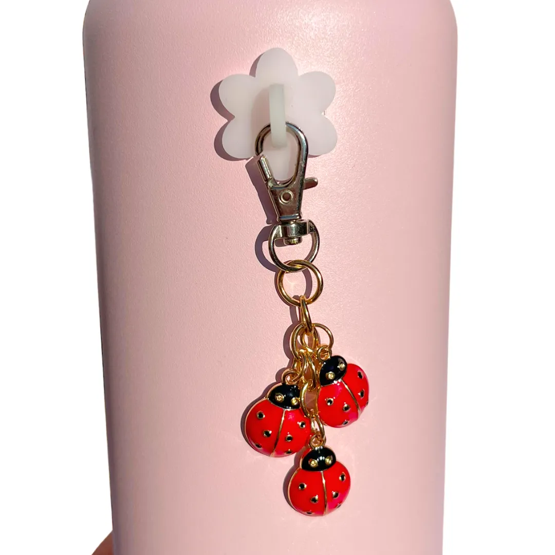 LadyBug Charm