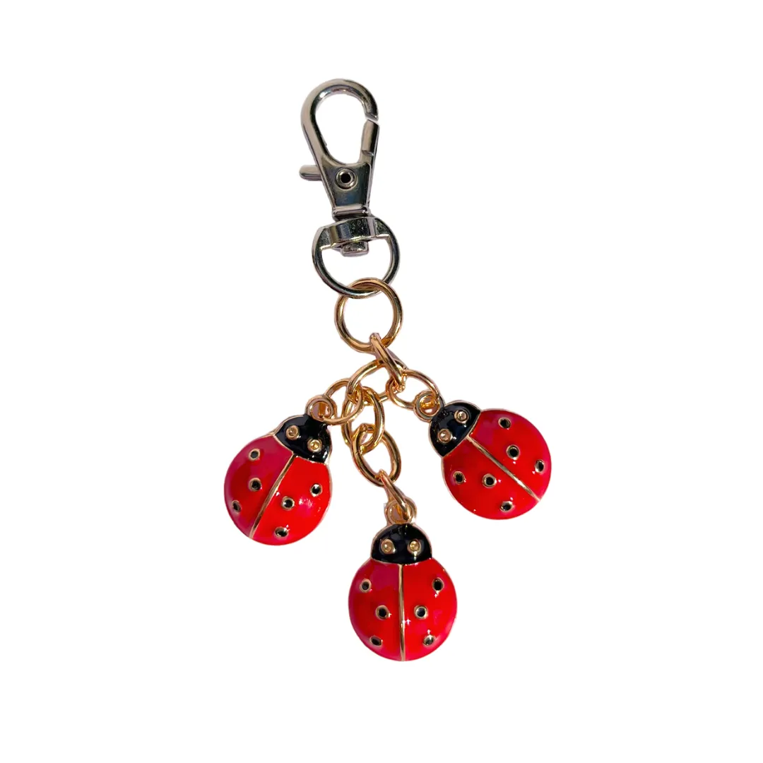 LadyBug Charm