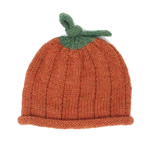 Pumpkin Beanie Kit PRE-ORDER