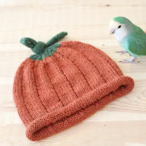 Pumpkin Beanie Kit PRE-ORDER