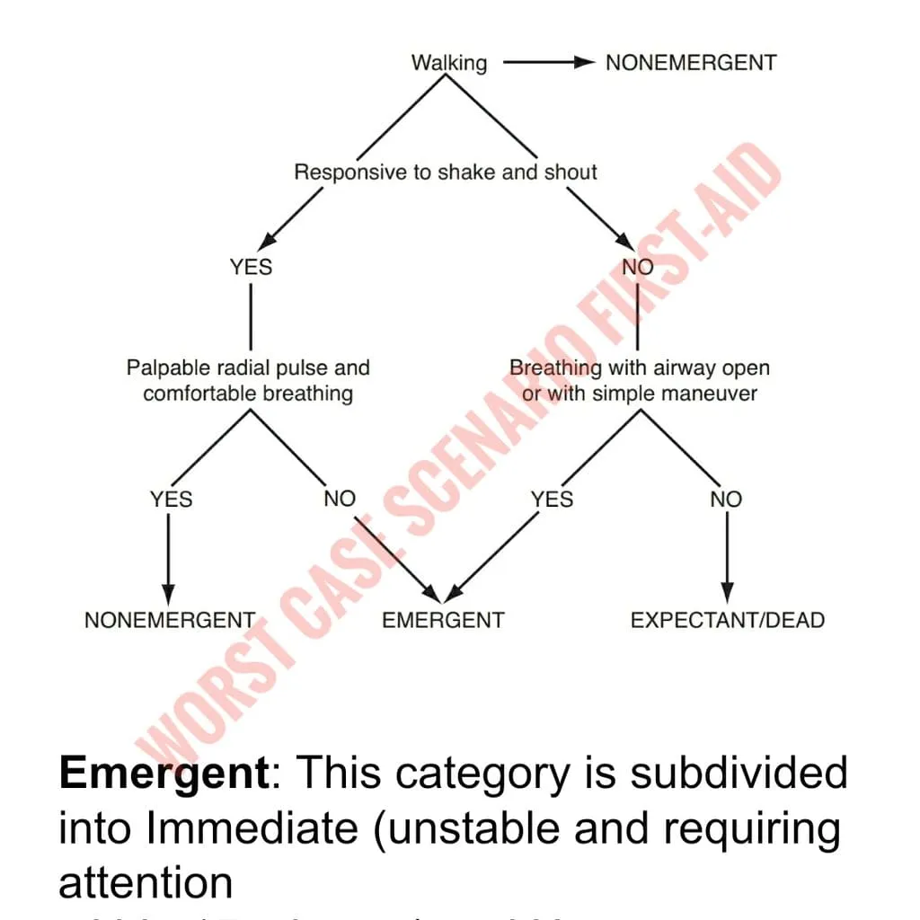 Worst Case Scenario First-Aid - Disaster and Wilderness Medical Survival Guide